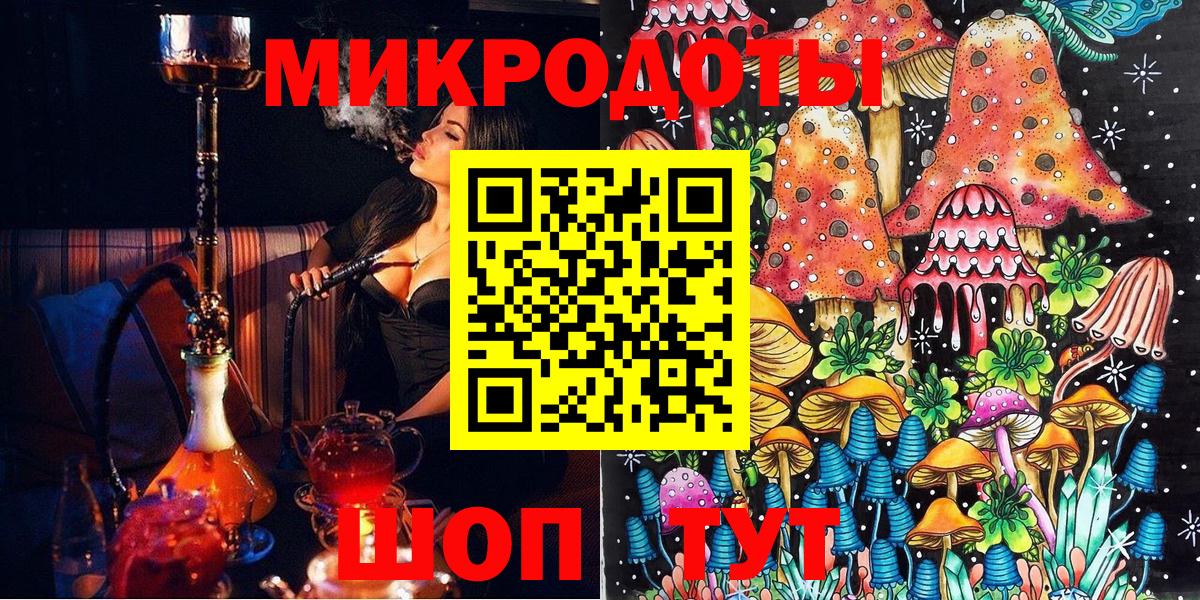 Галлюциногенные грибы Psilocybine cubensis Ахтубинск