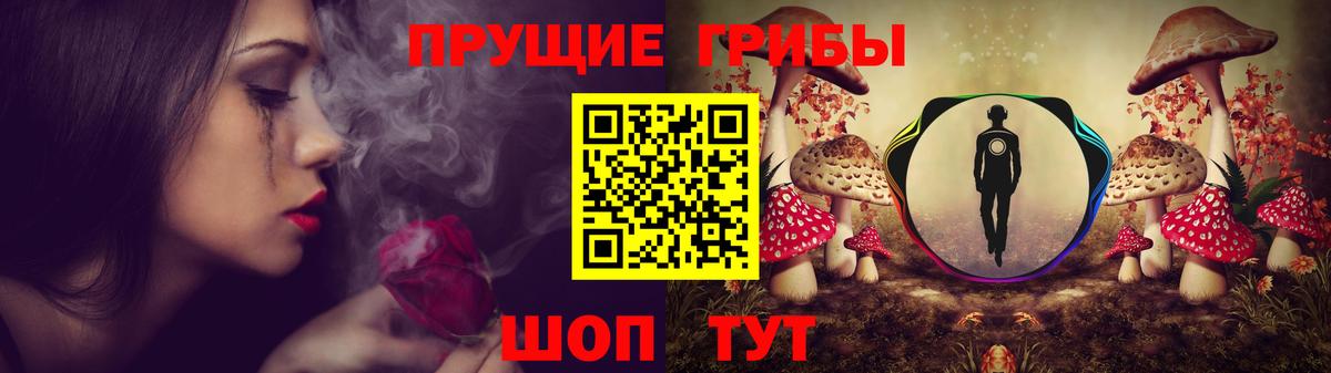 Псилоцибиновые грибы мухоморы  Псилоцибиновые грибы GOLDEN TEACHER  магазин продажи   Ахтубинск  Вход с VPN 